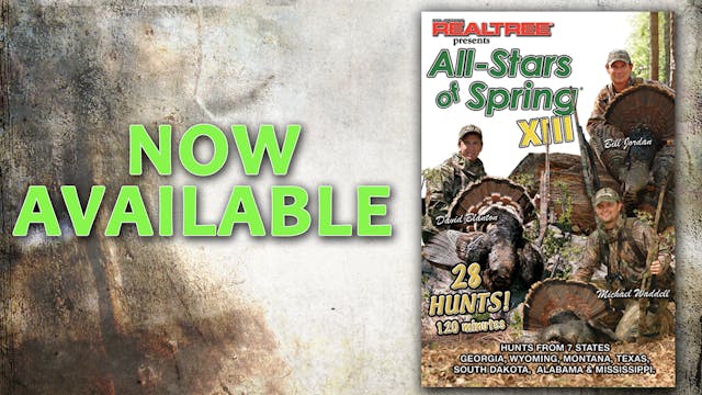 All-Stars of Spring XIII (2006 Release)