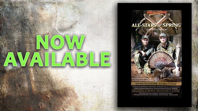 All-Stars of Spring X  (2003 Release)