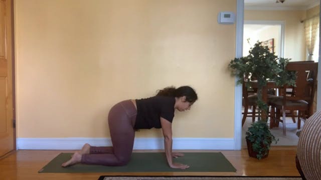 Dolphin Pose Tutorial