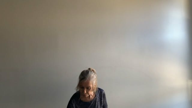  Navigating Crisis w| Carol