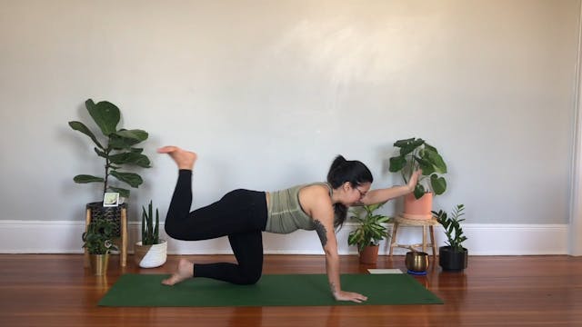 Svadhyaya *self study*