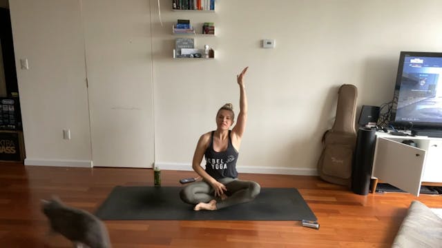 Rounded w| Tay - Ascension