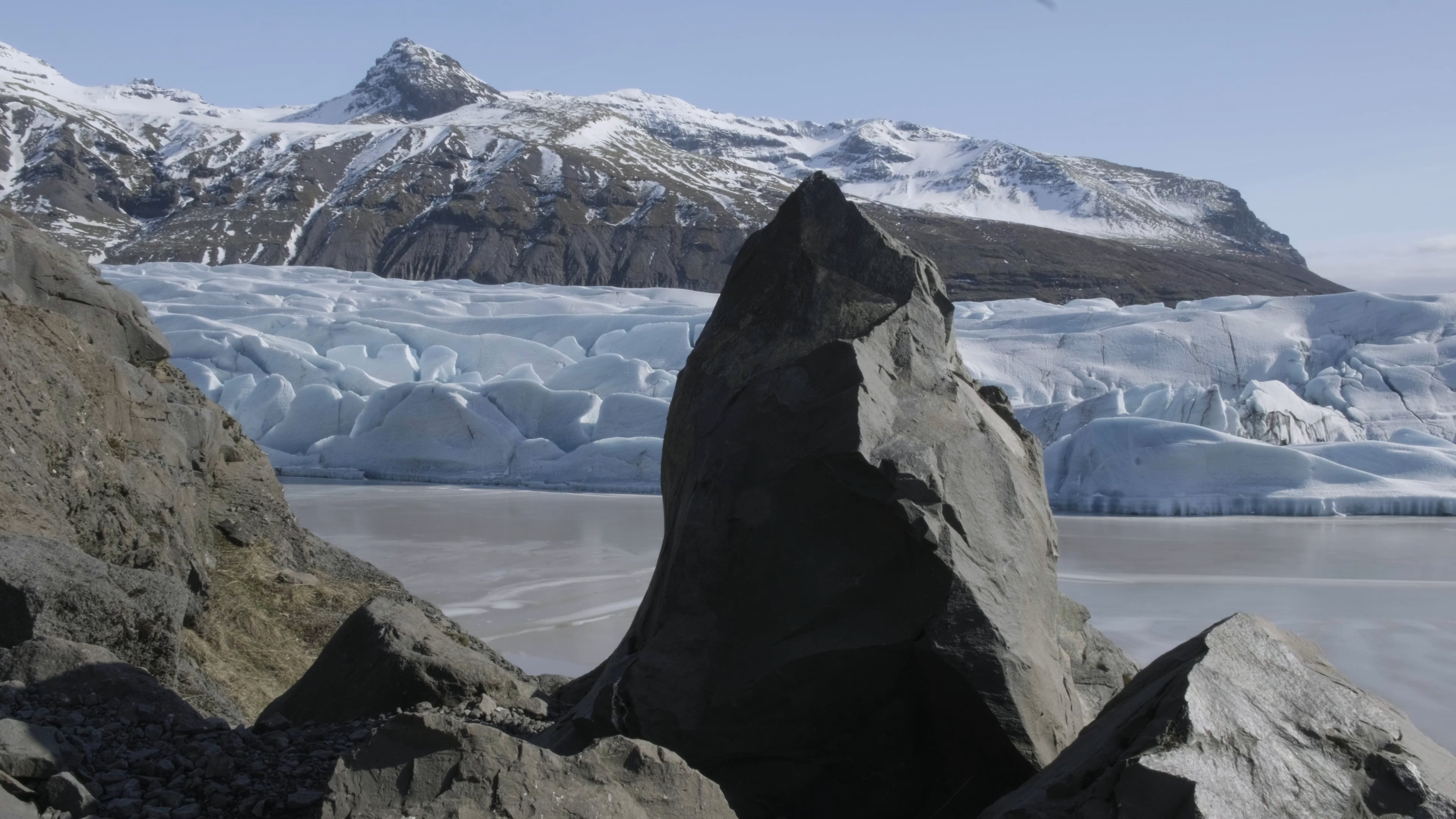 ENTROPHI: Ode To Nature