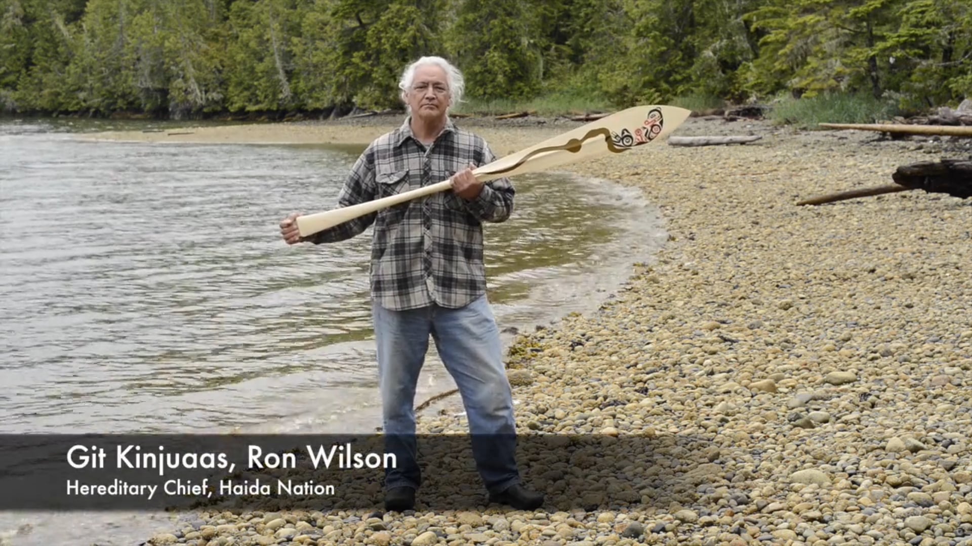 Coastal Voice: Navigating the Return of Sea Otters