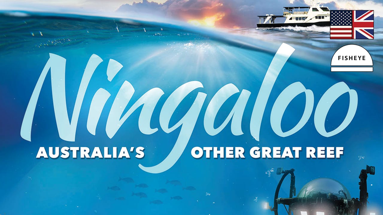 Ningaloo - English - 3 Days