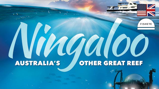 Ningaloo - 45min - Fisheye - English - Vimeo OTT