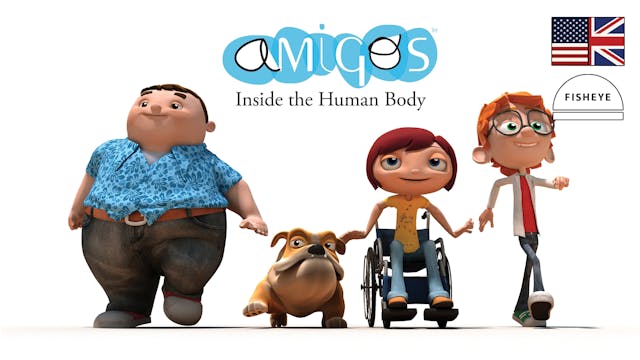 Amigos - 29min - Fisheye - English - Vimeo OTT