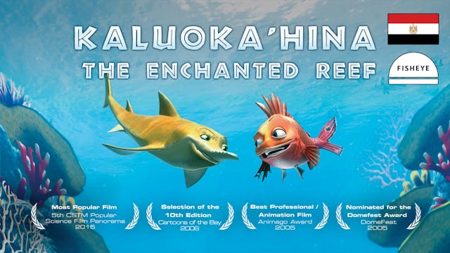 Kaluokahina - 33min - Fisheye - Arabic Egypt - Vimeo OTT