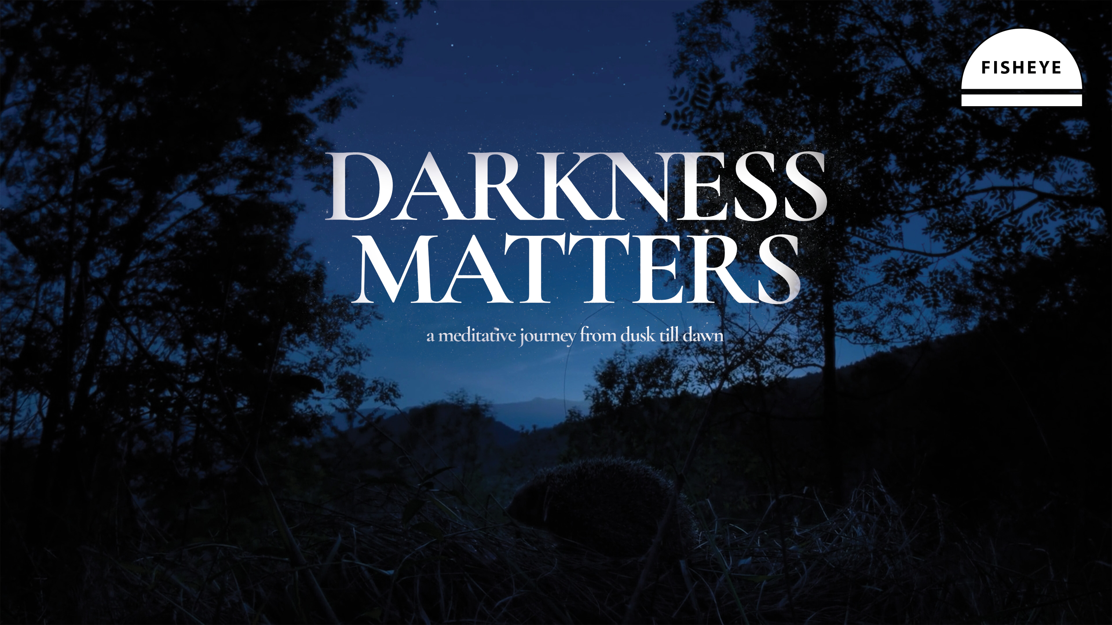 Darkness Matters - 2 Days