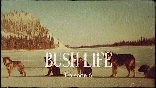 EP 6 - "Bush Life"