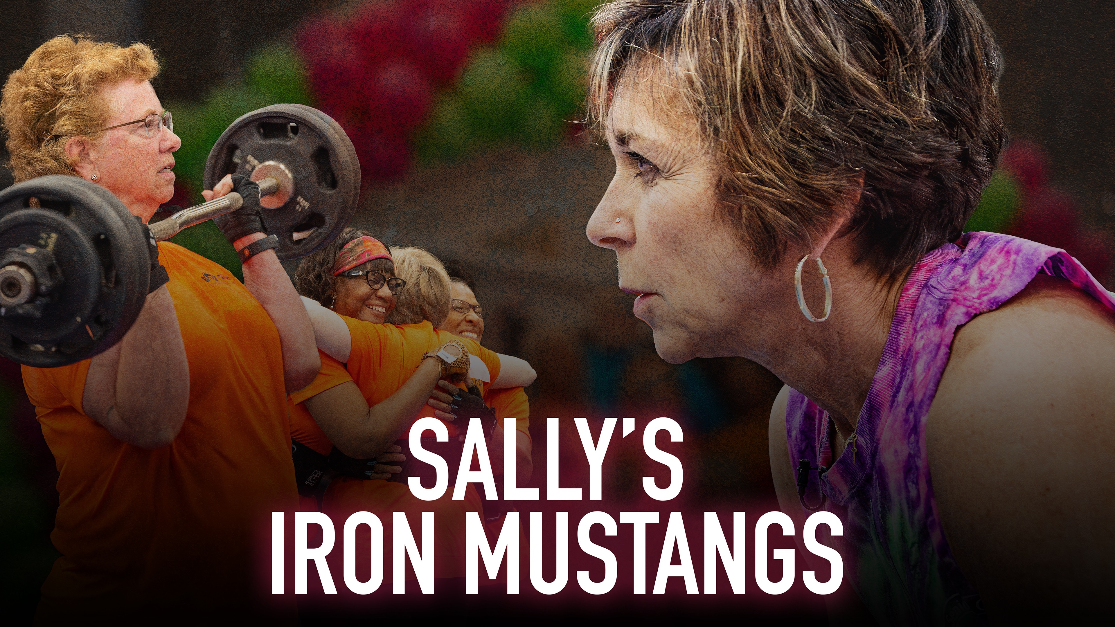Sally's Iron Mustangs