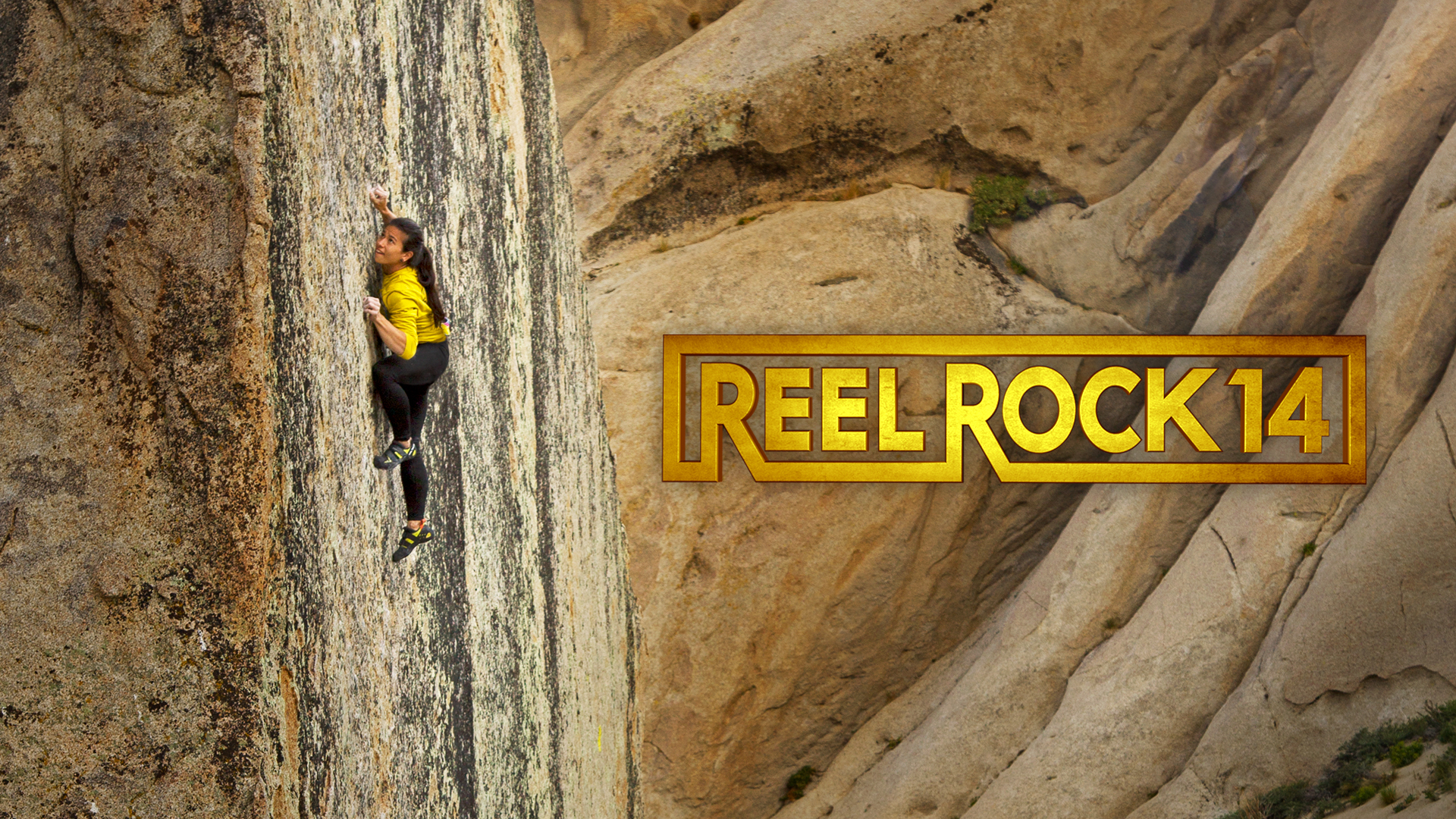 REEL ROCK 14