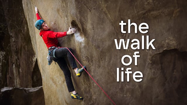 The Walk of Life