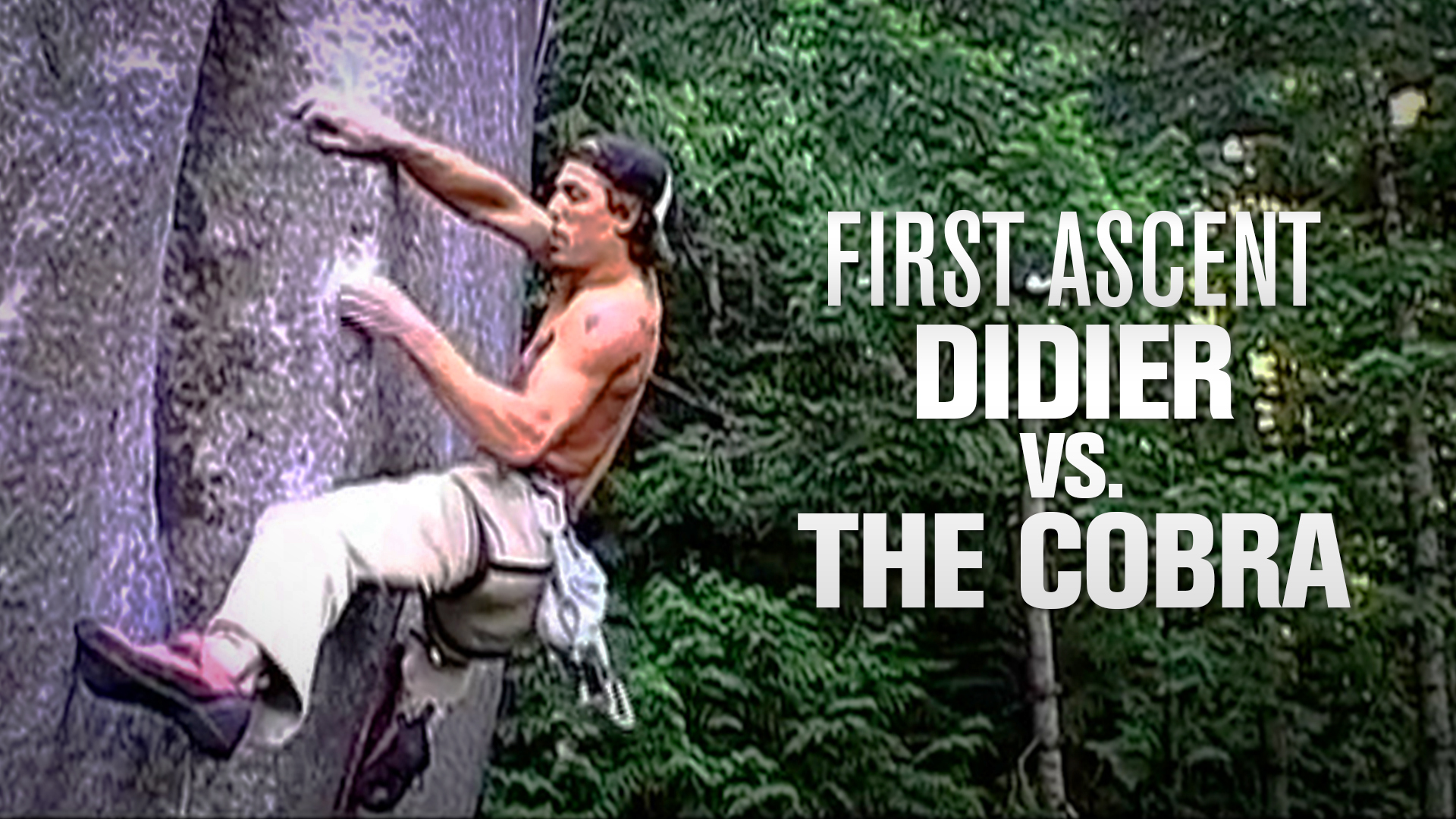 Didier vs. The Cobra