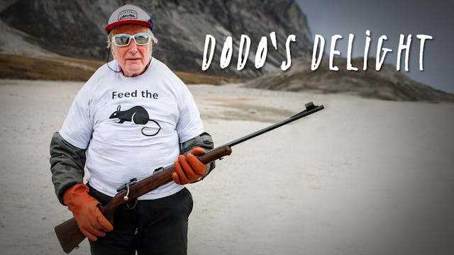Dodo's Delight