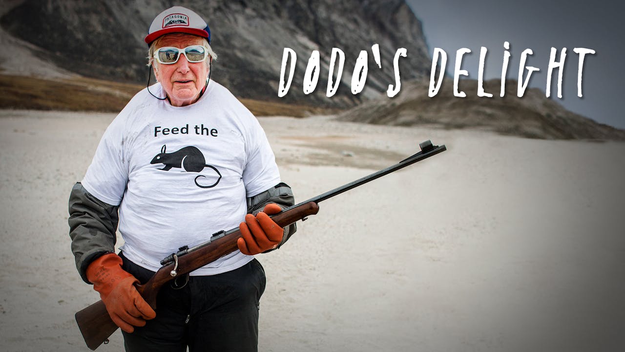 Dodo's Delight (Rental)