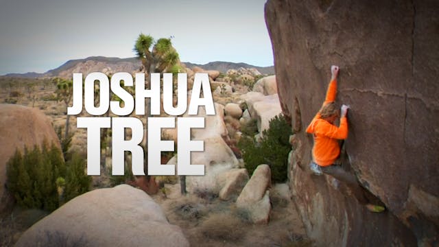 Origins: Joshua Tree
