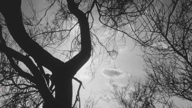 STREET FILM 10 AND 5