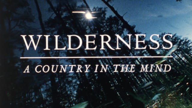 WILDERNESS: A COUNTRY IN THE MIND