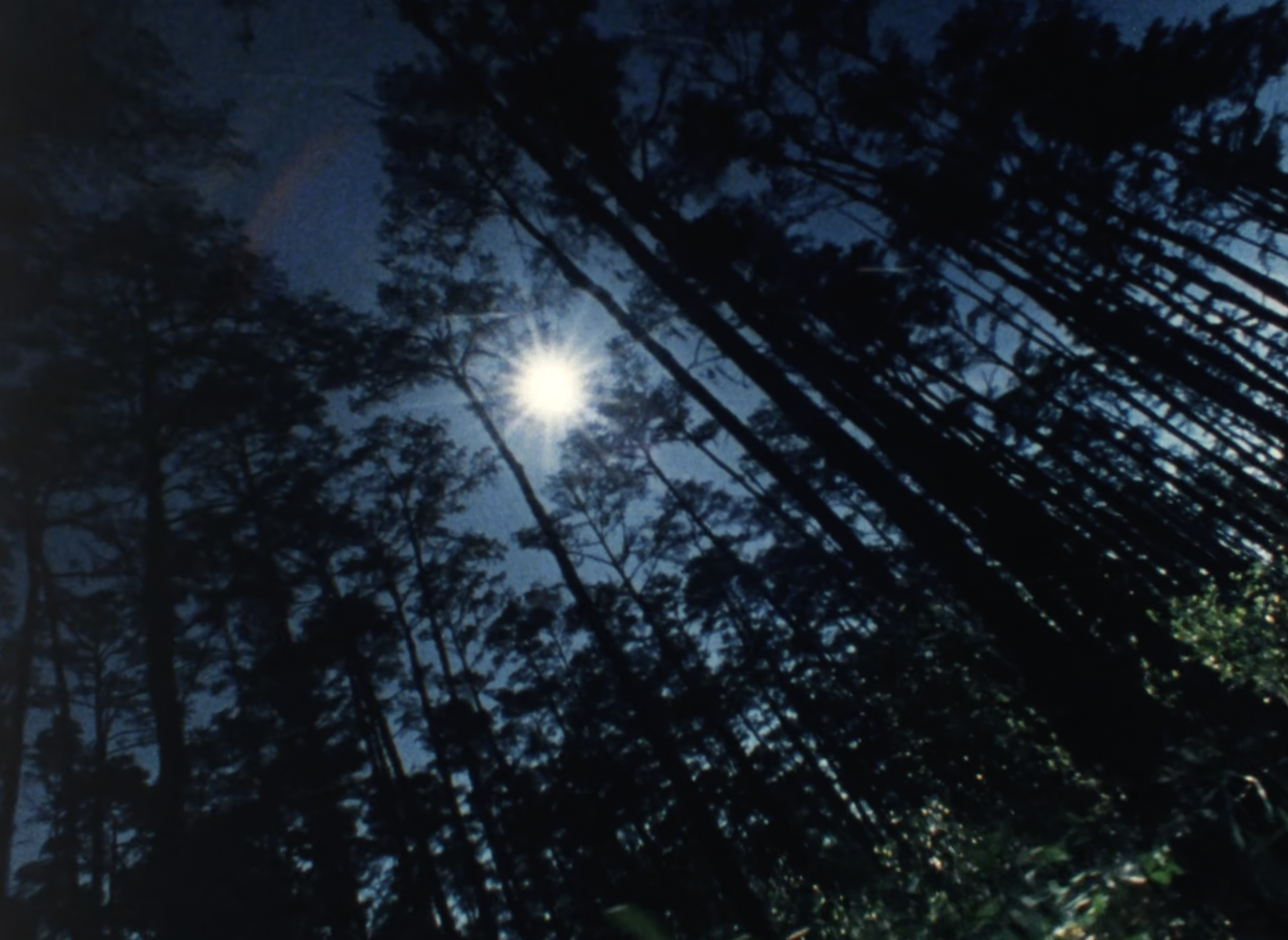 The Environmental Collection (1973-1984)