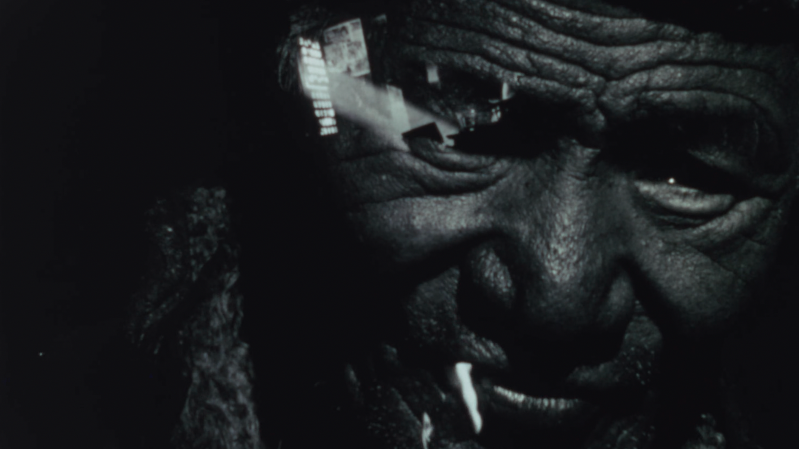 Path of Cessation (1975) and Starlight (1969)