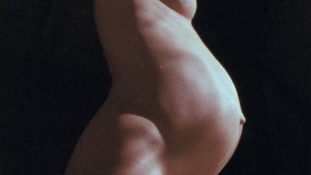 PARIS BIRTH FILM: REEL 2