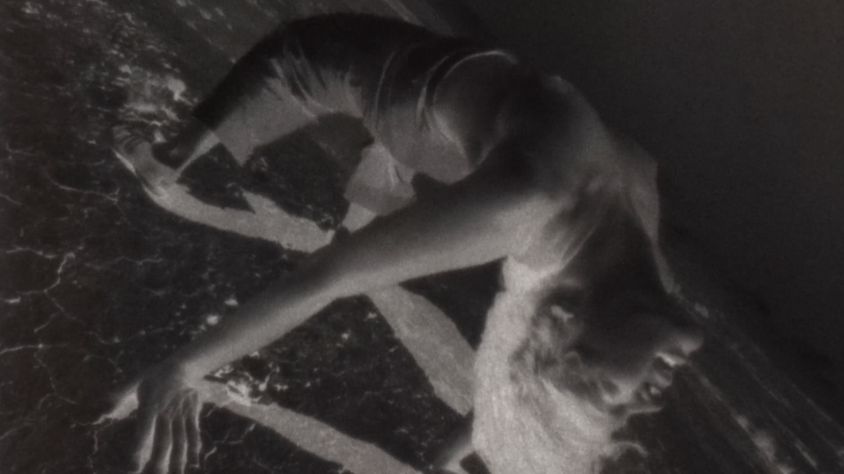 Movement of the Body Collection (1975-1978)