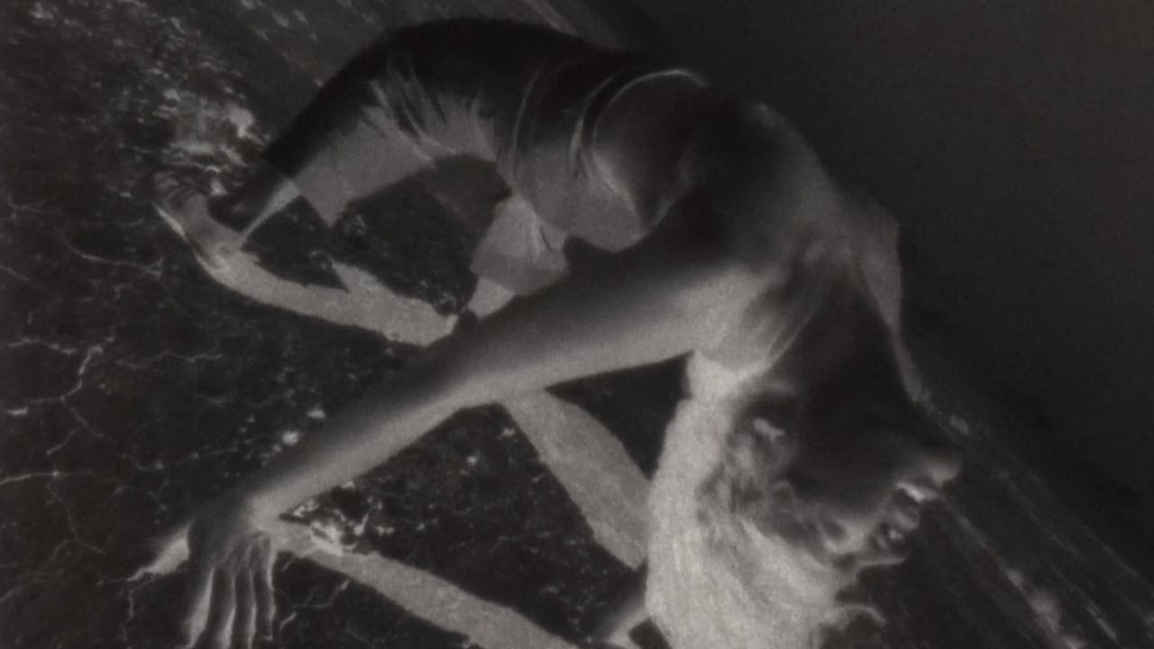 Movement of the Body Collection (1975-1978)