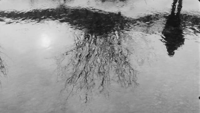 BETA STRUCTURE SPACE