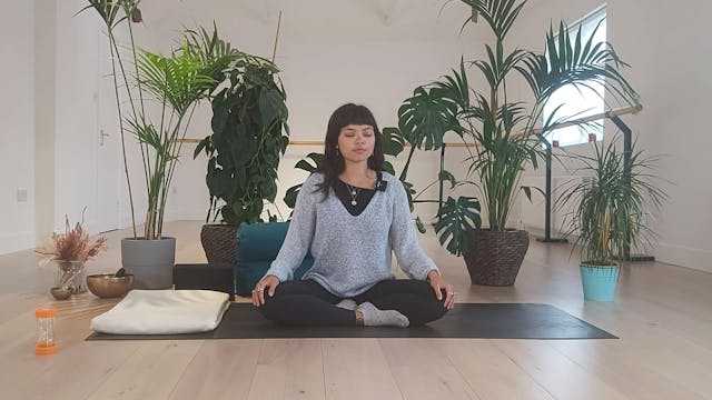 Dani - Full Body Restorative
