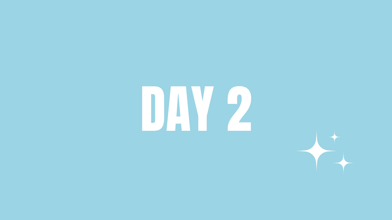 Day 2