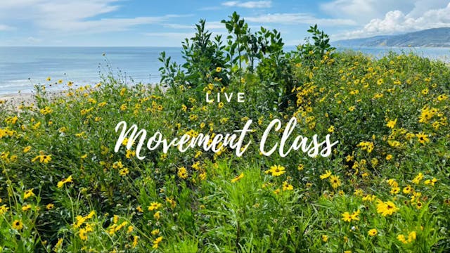 Live Movement Class 4/8/24