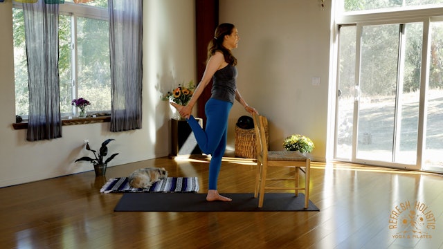 Gentle Chair Stretch