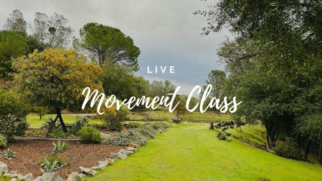 Live Movement Class 3/25/24