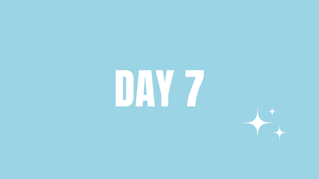 Day 7