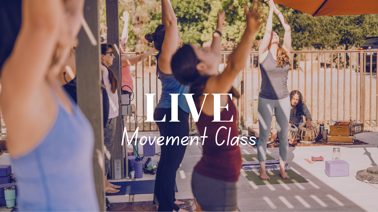 Refresh Holistic Video