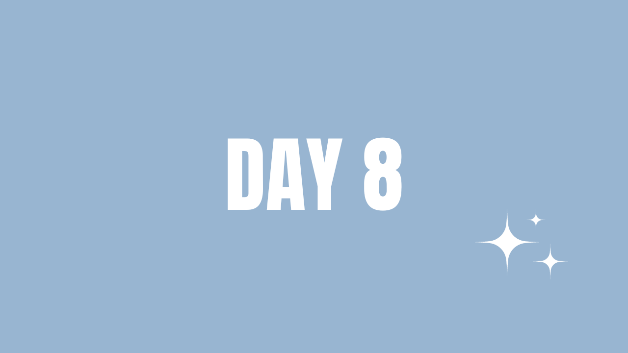 Day 8