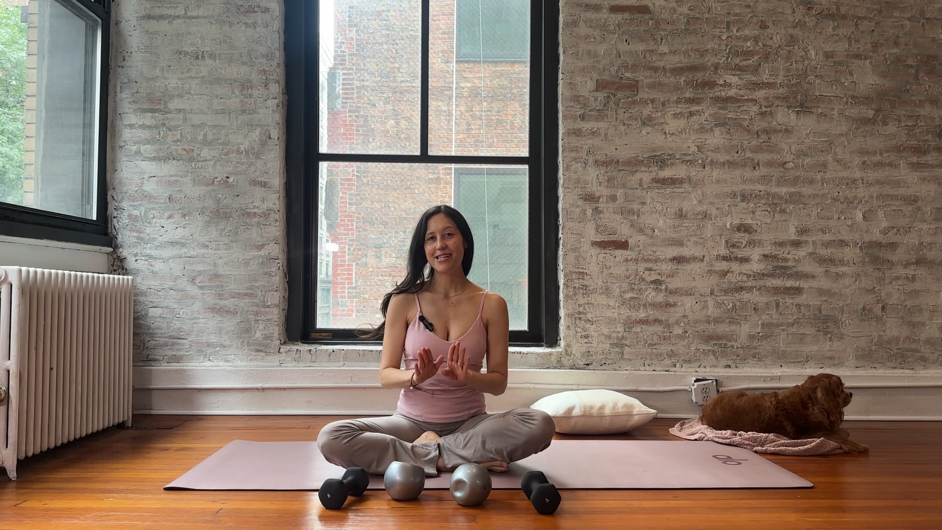 12. obliques and glutes EXPRESS version (RESET)