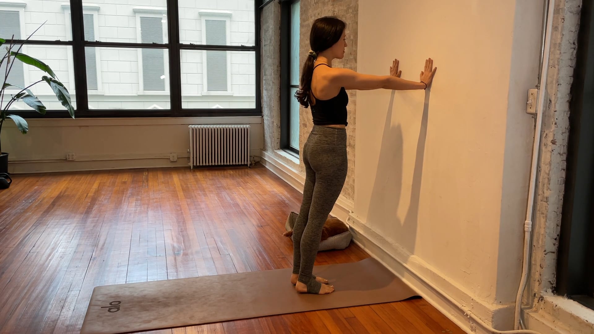 wonder wall (5.05 live class)