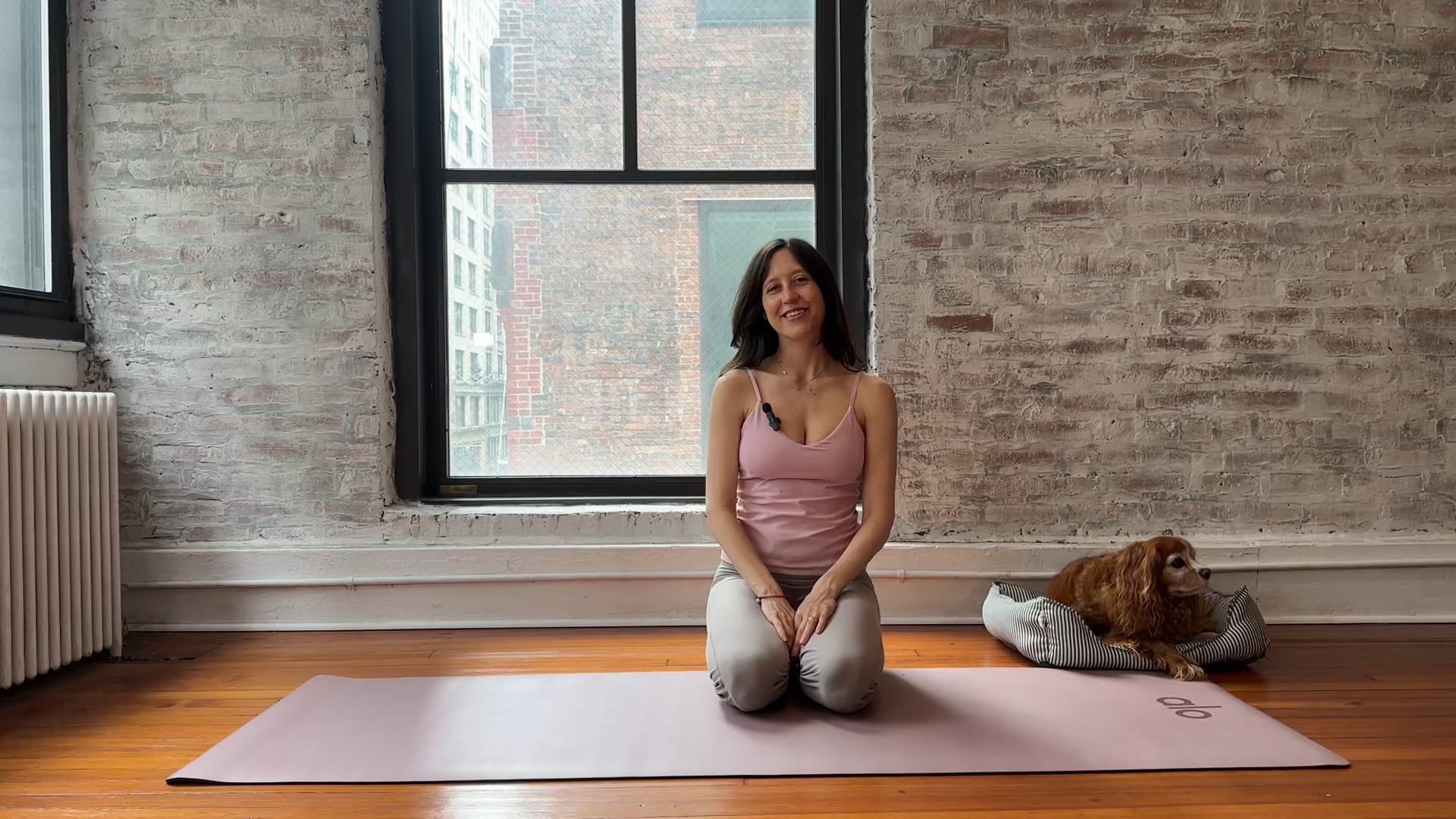 Class 1: Spinal & Pelvic Mobility with Core + Glute Strength