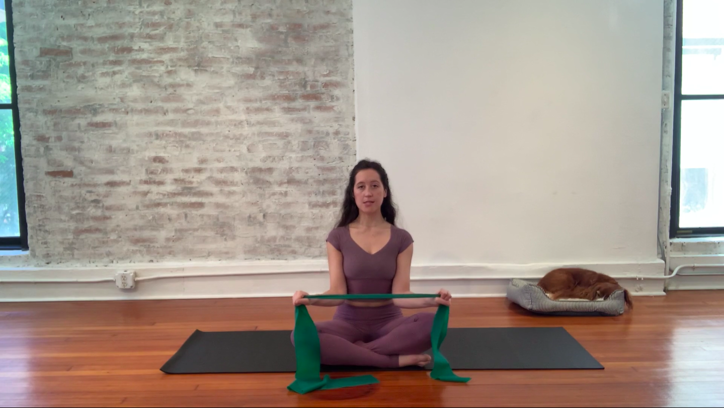 arms + shoulders strengthening