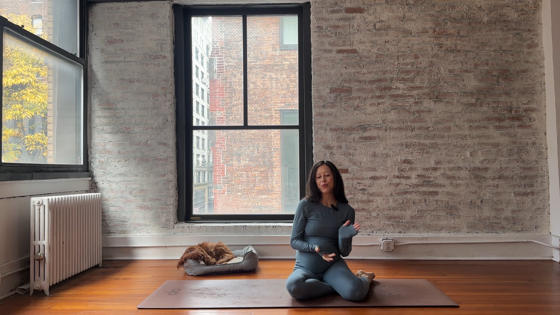 10.Open Upper Back and Chest  while building Strength Flow Class (Medium Energy)