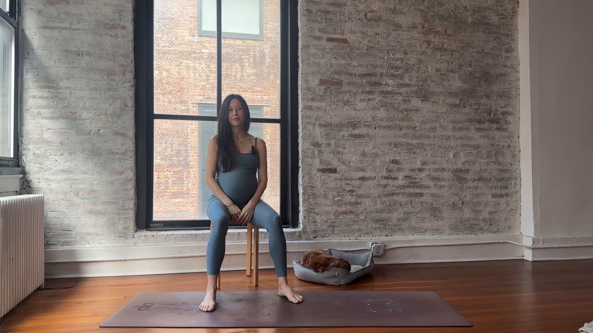 22. *Essentials* Daily Transitions (Medium Energy)