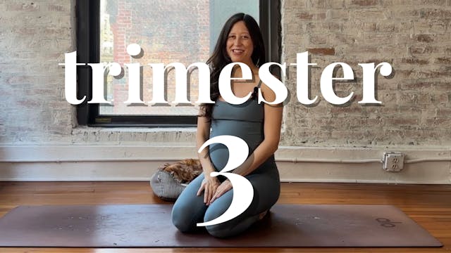 Trimester 3 Series