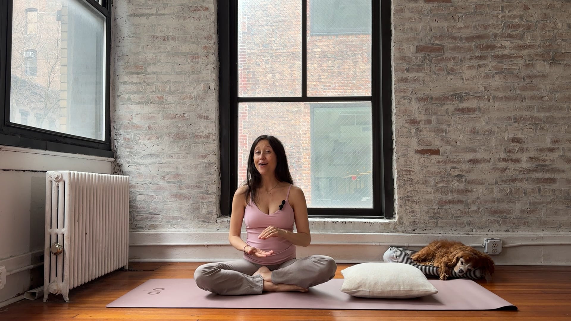 Class 2- Breath, Core + Chest Opener 