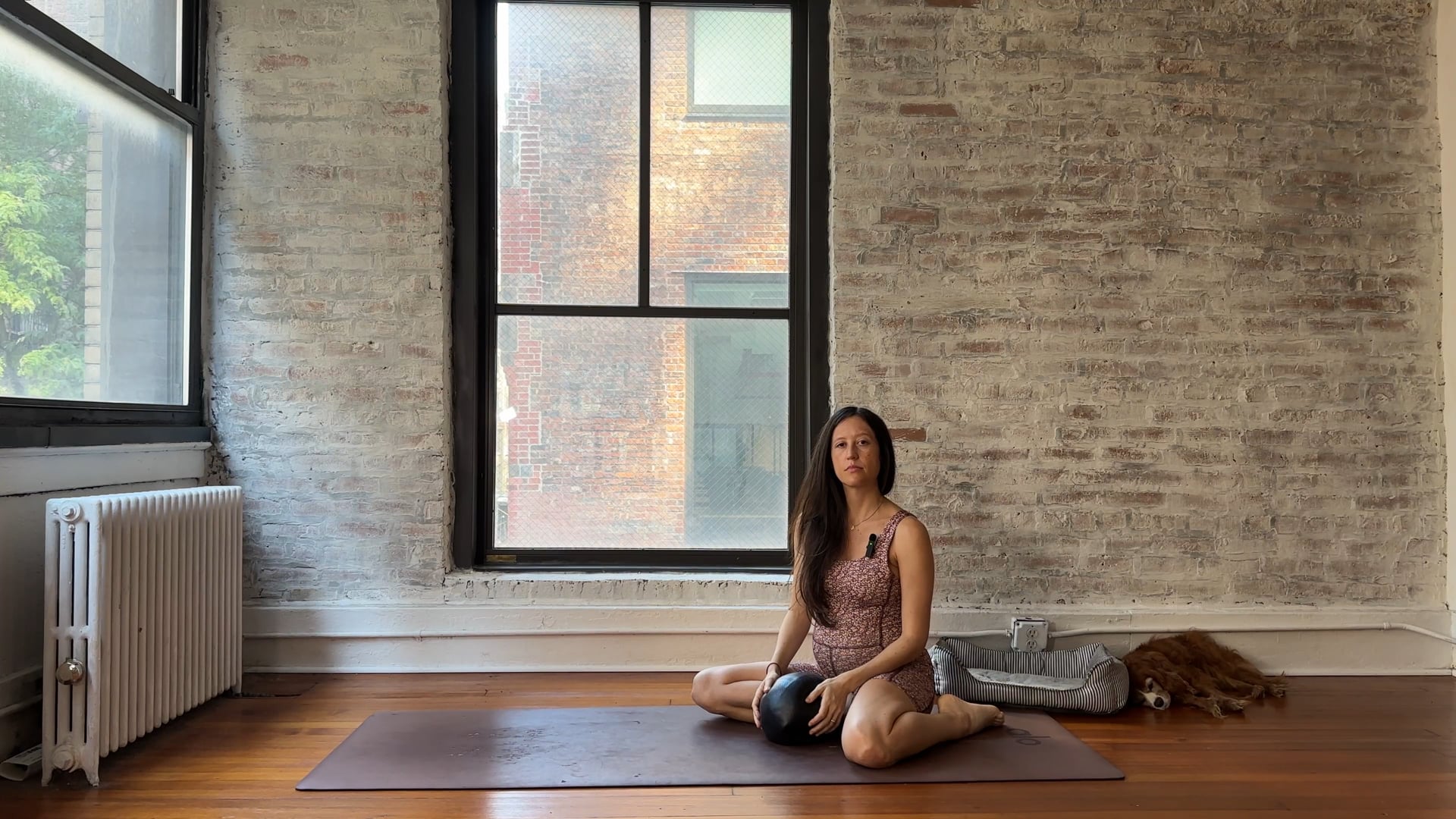 41. Medium Energy Full Body with Ball (or Pillow for most exercises)