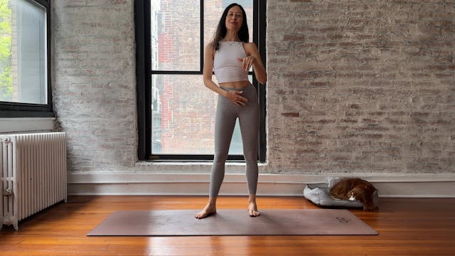 13. Spinal Mobility with Wall
