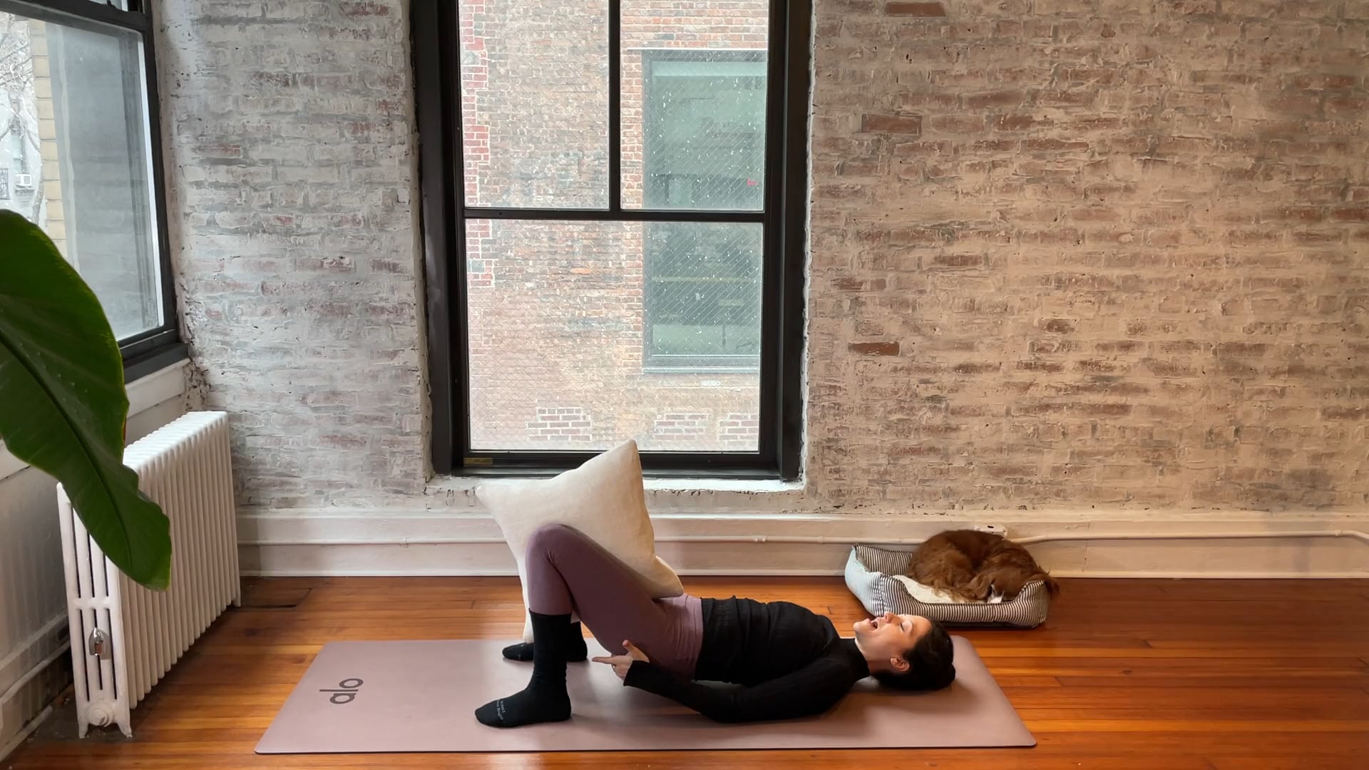 a salute to glutes - xpress