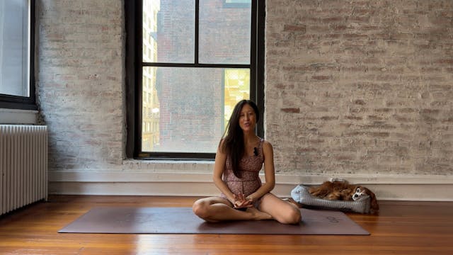 44. Stretch class (Low Energy)