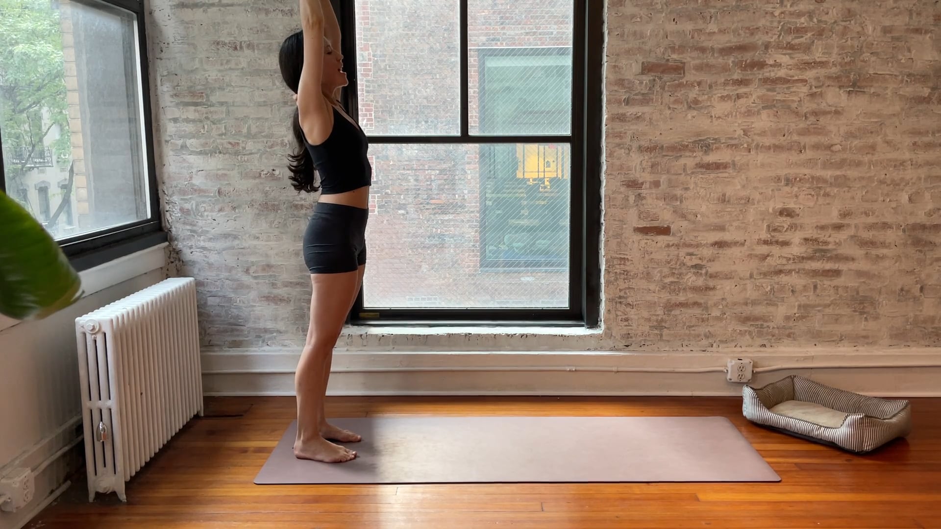 get it done // intermediate